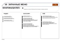 Страница 252