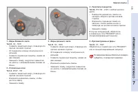 Страница 153