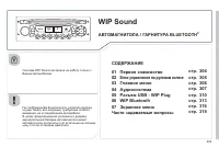 Страница 305