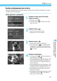 Страница 107