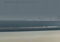 Страница 446