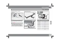 Страница 246