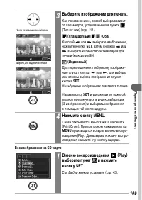 Страница 111