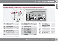 Страница 243