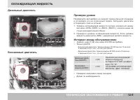 Страница 303