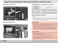 Страница 310