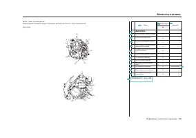 Страница 161
