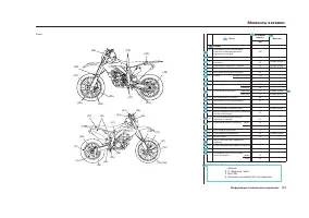 Страница 163