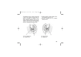 Страница 117