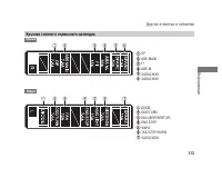 Страница 117