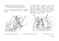 Страница 117