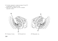 Страница 118