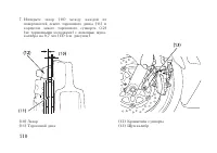 Страница 120
