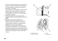 Страница 137