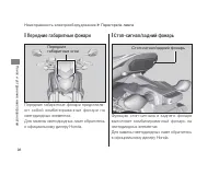 Страница 102