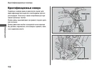 Страница 116