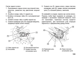 Страница 113