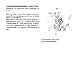 Страница 121