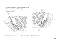 Страница 127