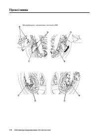 Страница 204