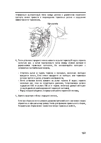 Страница 169
