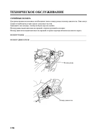 Страница 181