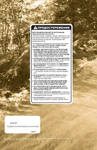 Страница 119