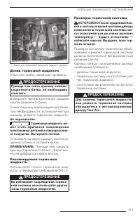 Страница 117