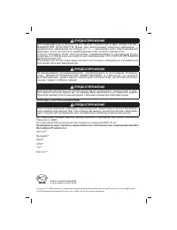 Can Am Renegade 500 2010