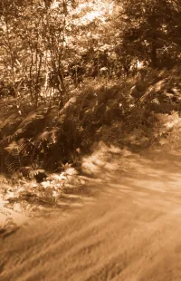 Страница 146