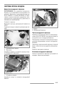 Страница 119