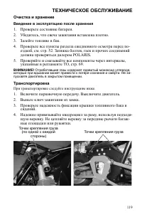 Страница 119