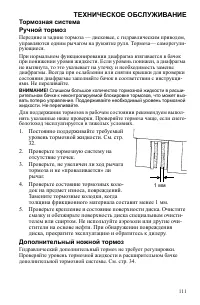 Страница 111