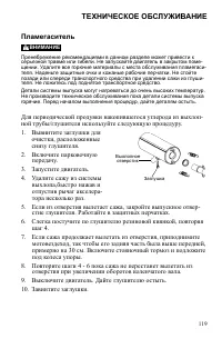 Страница 119
