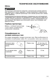 Страница 113