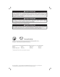 Ski Doo Expedition 2010