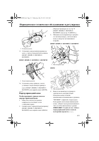 Страница 117