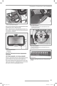 Страница 246