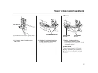 Страница 121