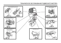 Страница 119
