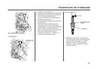 Страница 116