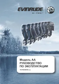Evinrude AA E30T 2013