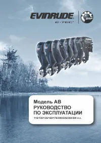Evinrude AB 175 л с 2013