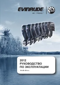 Evinrude E30T 2012