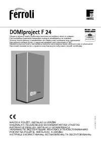 Ferroli Domiproject F24