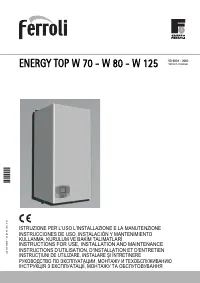 Ferroli Energy Top W 80