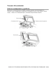 Страница 384