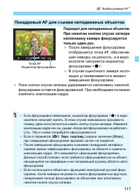 Страница 117