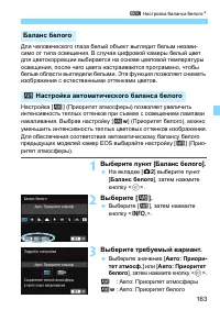 Страница 163