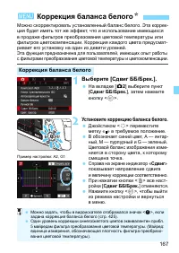 Страница 167